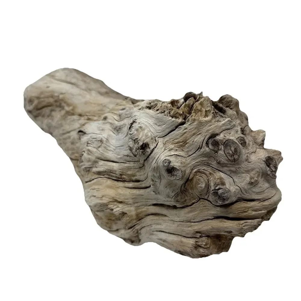 Large White Weathered Driftwood Log Sculpture – Natural Coastal Decor Statement